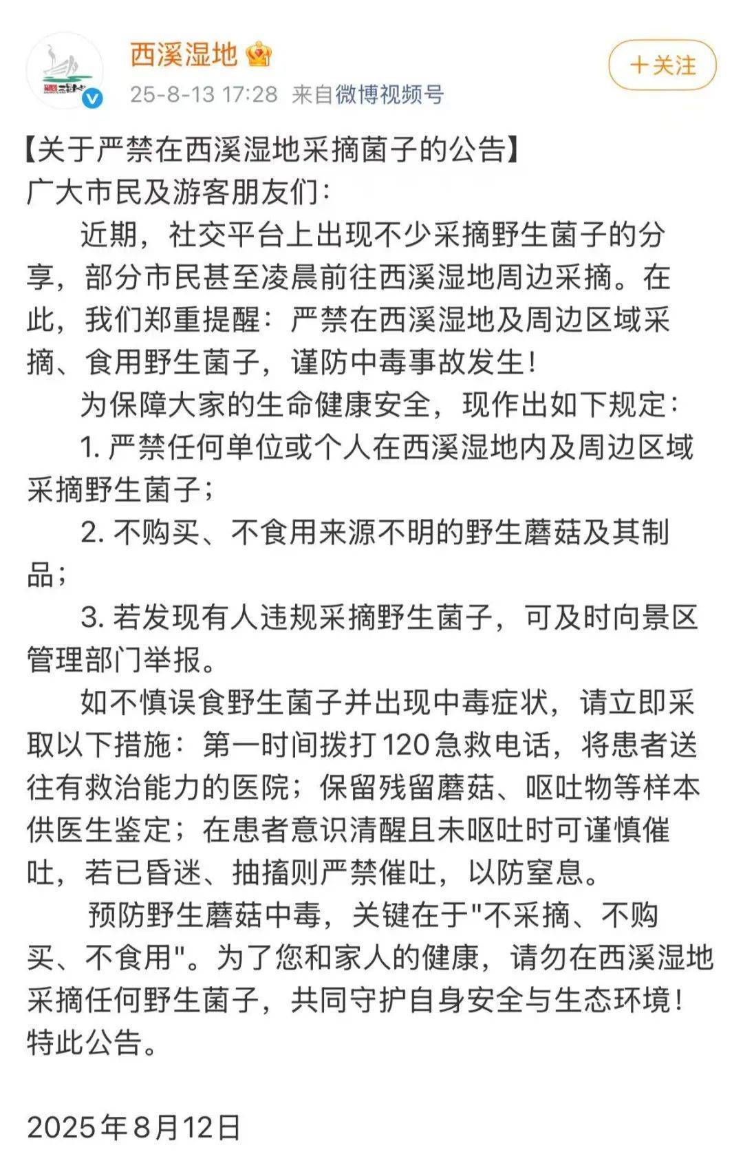这里一批批人涌入！多平台公告：严禁开元棋牌蘑菇捡不完根本捡不完！杭州(图2)